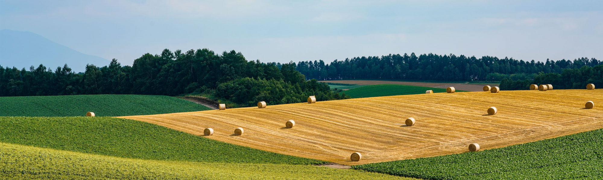 ふるさと納税 イメージ